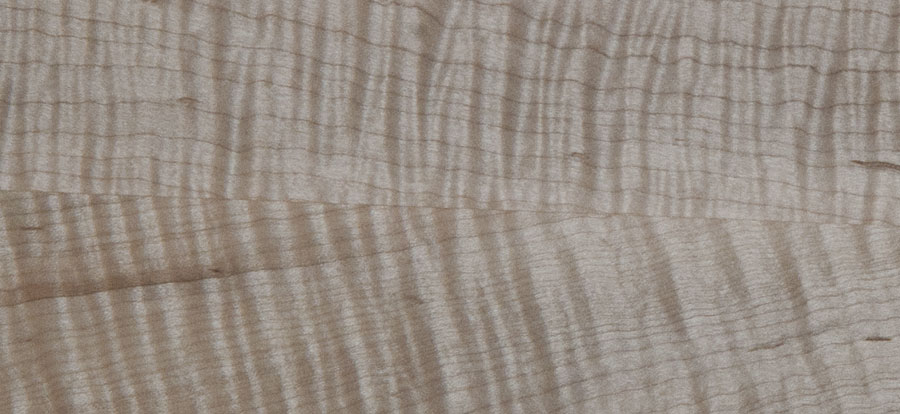 Tiger maple sample